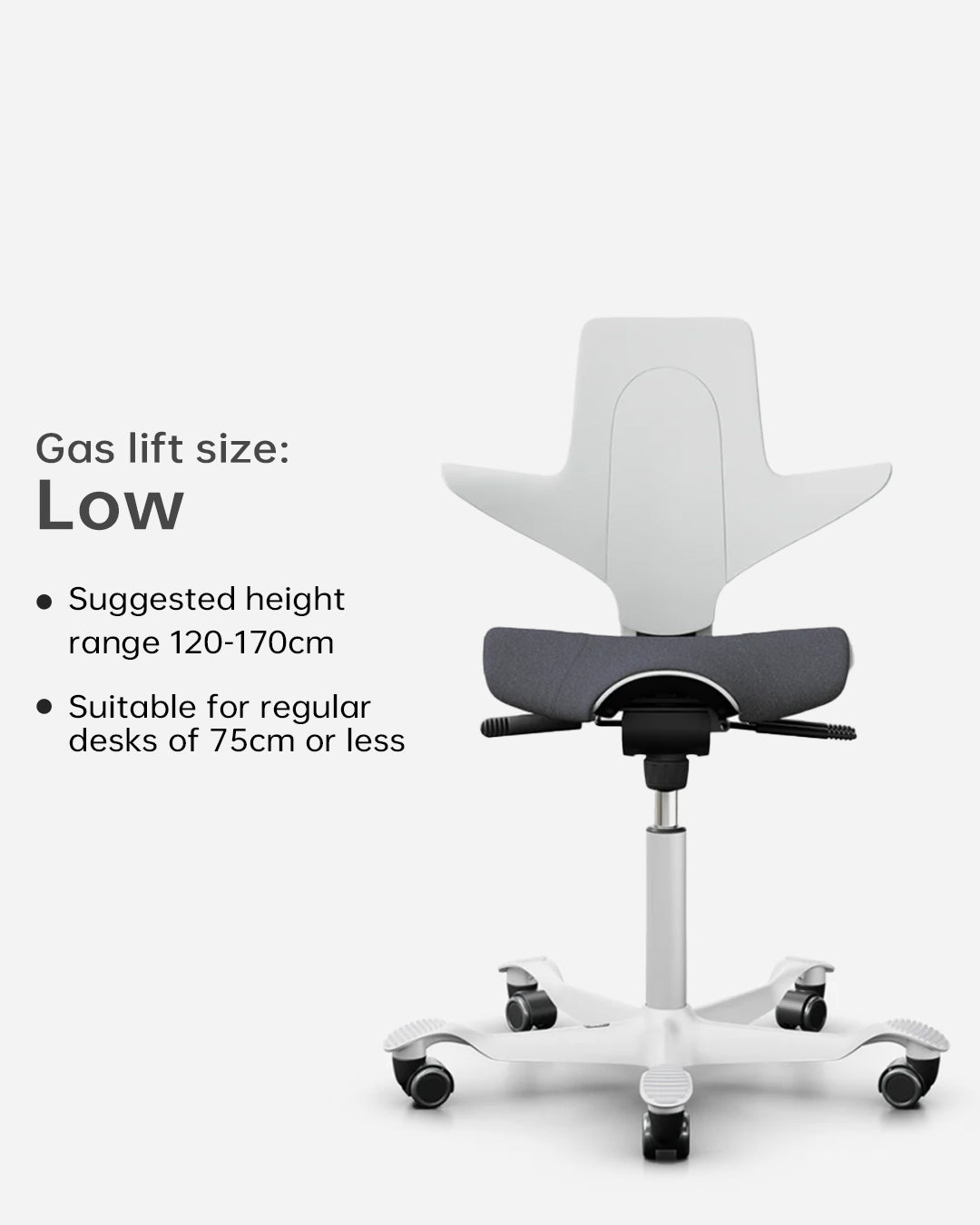 HÅG Capisco Puls 8020  Junior Study Chair