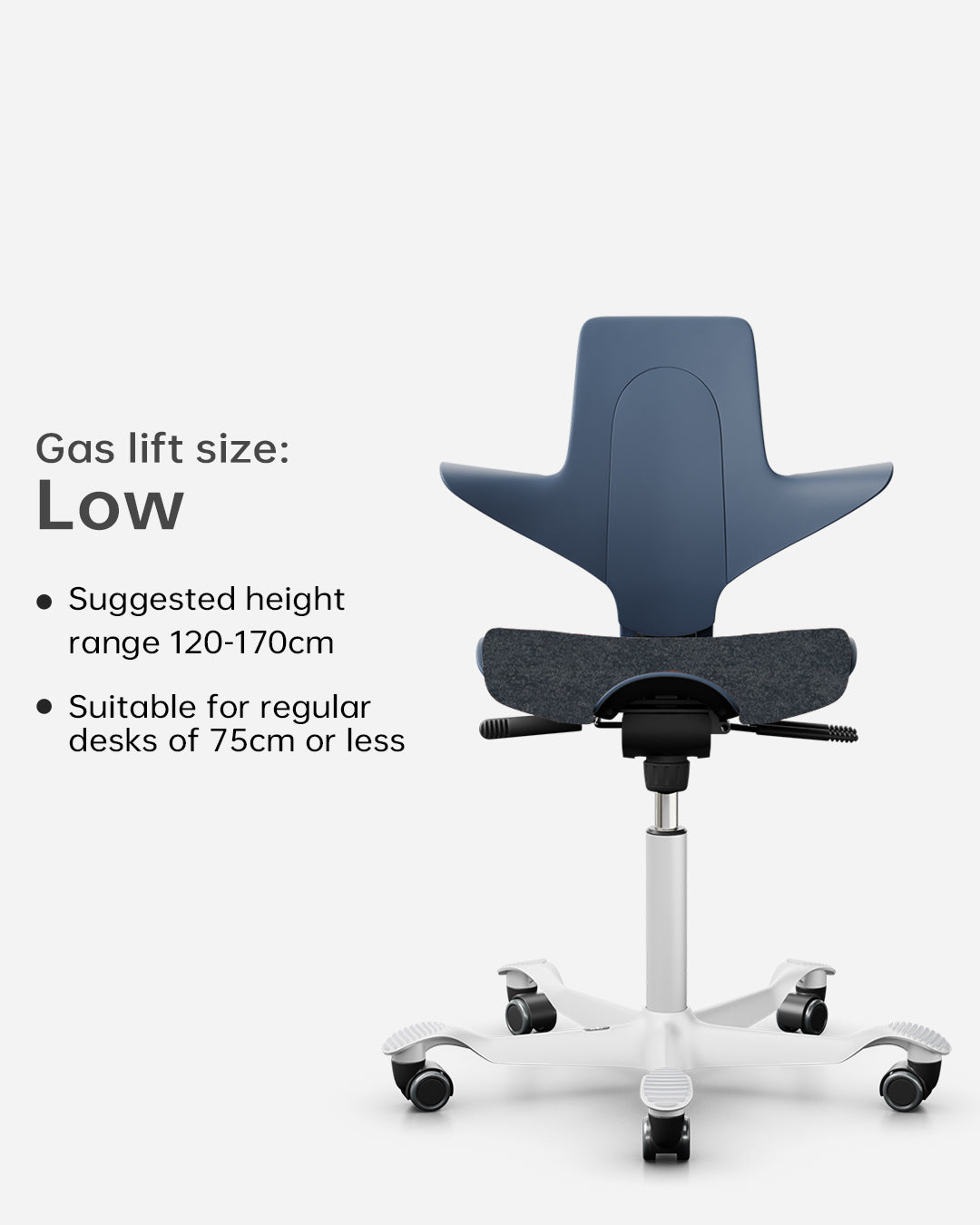 HÅG Capisco Puls 8020  Junior Study Chair